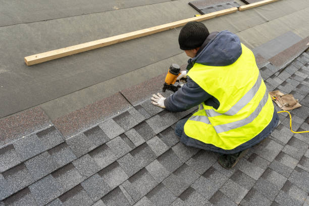 Best Metal Roofing Contractor  in Murphy, MO