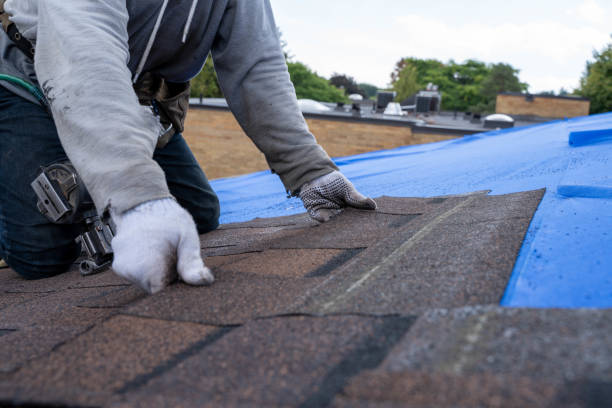 Best Metal Roofing Contractor  in Murphy, MO