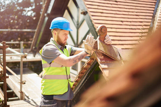 Best Roof Gutter Cleaning  in Murphy, MO